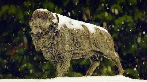 The Scouts Bronze sculpture of a buffalo which has snow round its feet and on its back