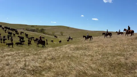 Eric Gropper Eric Gropper and colleagues ride horses beside some of their cattle on a dry, rolling field, with the sky behind them