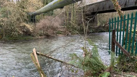 A river with trees around it. there's a pipe and a bridge going over the river. There's also a green fence on the left hand side. 