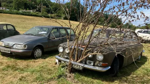 A Jaguar 420g car parked on the grass. A tree can be seen growing through its front bumper. A silver car is parked next to it.