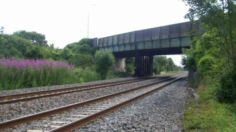 North Somerset Council The view of the rusting green bridge from below, showing it stretching across a railway track with grey shingled stones. There are grassy verges on either side of the track, with various bushes and a cluster of tall pink flowers growing on the left.