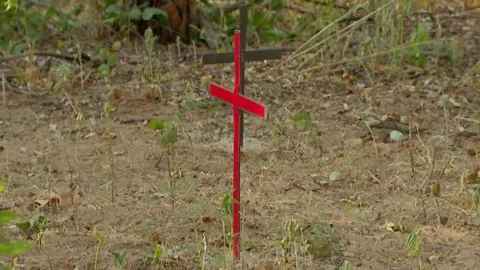 Crosses for victims of Gukurahundi in Matabeleland, Zimbabwe