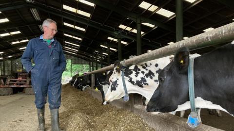 Peter Lewis standing in front of Holstein dairy cows in a barn feeding