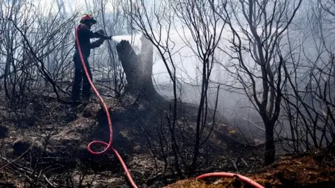 Reuters A firefighter battles a wildfire near Saint-Laurent-de-la-Cabrerisse