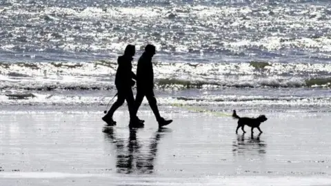 Two people walk with their small dog along the sand on the beach. 