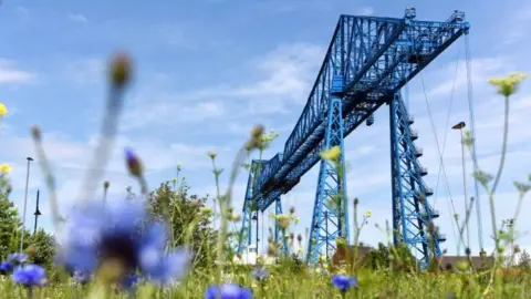Teesside University The Transporter Bridge in Middlesbrough. It is a large bridge made of blue steel. Blue flowers grow in the foreground.