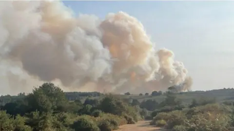 Smoke rising above the New Forest.