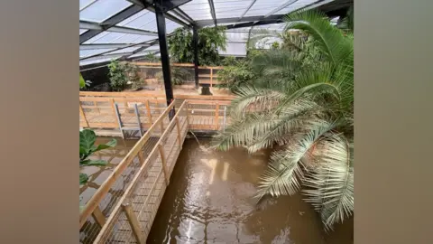 The inside of a crocodile enclosure at a zoo. There are bodies of water for the animals as well as foliage and plants. There is a walk way through the middle of the enclosure lined with fences. 
