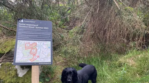 A picture of a sign explaining a timescale for the reopening of Thrunton Woods in Northumberland. A  black cocker spaniel stands by the sign, behind her are a number of fallen trees 