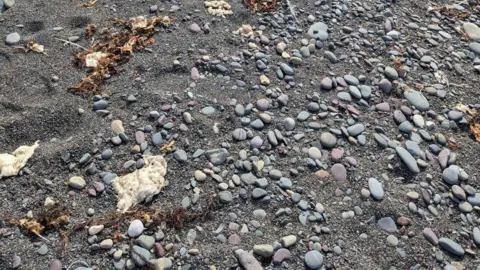 BBC/Stan Tobin Blobs on the beach