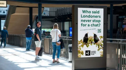 Jack McPartland/Ocean Outdoor A digital screen above a busy shopping arcade shows two starlings on a blossoming branch, with the slogan "Who said Londoners never stop for a chat?", a QR code and the London Wildlife Trust logo. Shoppers stream past beneath.