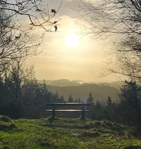 Rebecca Wilson Empty bench in a grass-covered area surrounded by trees with the sun shining in the distance.