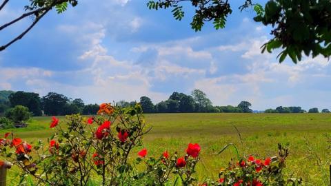 Mainly blue sky above a field bordered by red flowers. 