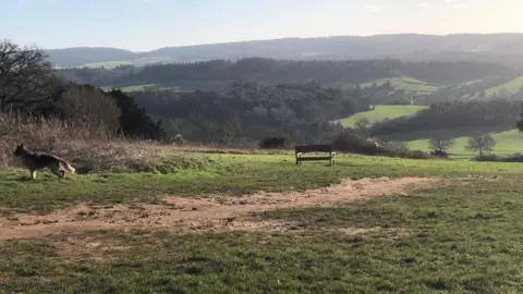 A view of the Surrey Hills from Newlands Corner near Guildford on 24 December 2025. A dog and a bench can also be seen.