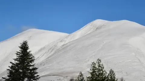 Weather Watcher benjisnapper View over Lake District fells near Keswick. The fells are covered in snow, with a green pine tree in the foreground.