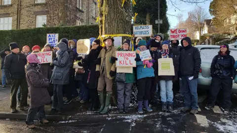 A group of people are stood in the street by large mature trees holding placards and protesting about plans to chop down trees