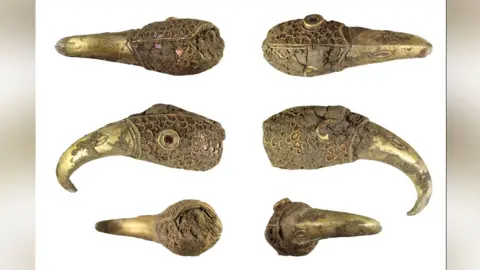 The British Museum Six views of an early medieval silver, gold and garnet bird’s-head terminal with elephant ivory inlays. The bird's head is shaped like a bird of prey with a curved beak. Its red stone eye is surrounded by feathers, also inlaid with red stones. The find is covered in mud. It was found in Wiltshire in 2024.