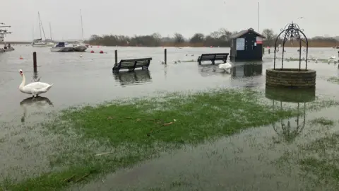 Water at a quay has crept up onto the shore, past benches and a shed. Two swans are wading in the water where a path presumably can usually be seen. Boats are in the distance.