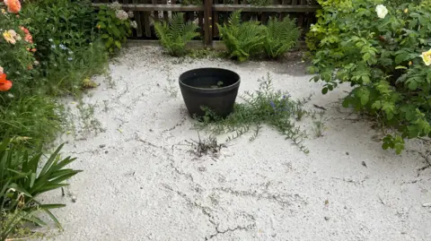 Whitish sewage now crusted over sits on top of gravel in neat front garden