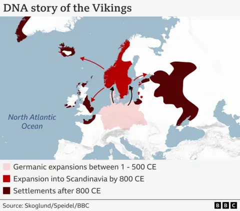 Map of Europe showing three phases of Viking migration based on the new DNA evidence: 1. Expansion out of Germanic regions southwards between 1 - and 500 CE, 2. Movement north to Scandanavia by 800 CE and then settlements after 800 CE.