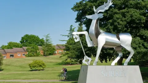 A metal statue of a stag. It is on top of a stone base which says "University of Surrey" on it. There is a person riding a bike in the background through what looks like a park.
