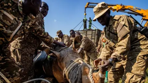 Reuters A group of rangers stand around a rhino. A crane can be seen in the background.