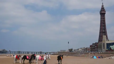 PA Media Burros en la playa de Blackpool, con la Torre de Blackpool al fondo