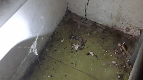 Oxford City Council Mice droppings on a green tile floor.