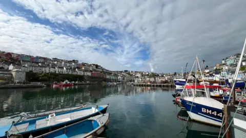 Fishing and rowing boats in a Devon harbour, with rows of houses on hills behind.