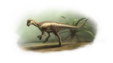 A drawing of the Enigmacurser dinosaur. It shows the two-legged dinosaur standing on the ground with a long tail and two hands. A green fern is in the background