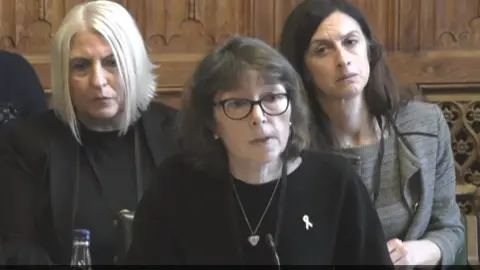 UK Parliament Rebecca Knox being questioned by select committee