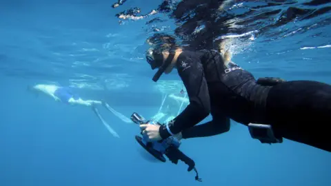 Reuters A woman in scuba gear films underwater