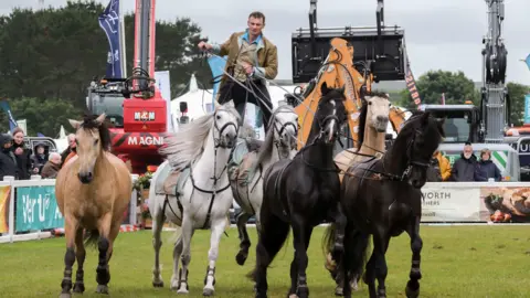 Matt Keeble/PA Wire Six horses at the Royal Cornwall Show. Two are black, two light brown and two white. There is a man standing on the back on the two white horses with one foot on each. He is holding the reins for four of the horses as the run around a showground. 