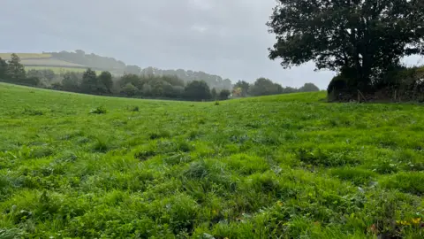 BT Jenkins A field which has been used for landfill and restored to productive farmland, according to developer BT Jenkins