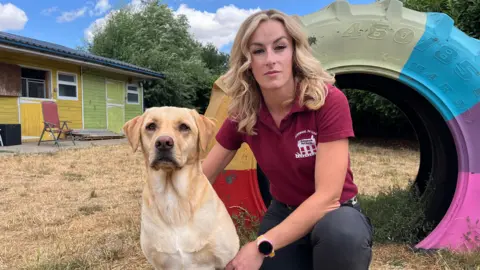 Ellen Knight/BBC Holly photographed crouching down next to a yellow Labrador Retriever. Holly is wearing a maroon polo shirt with 'Haleswood Pet Hotel' written on it in white letters, with an embroidered logo beneath it. Holly and her dog are crouched in front of a tractor tyre, which has been repurposed as a tunnel for dogs to play in and repainted in the colours of the rainbow. 