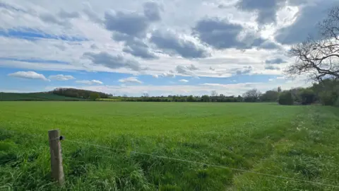 LDRS A green field