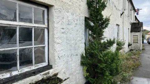 Exterior of pub with grey, white walls and a tree growing out of the side of the wall from the pavement. One of the white windows has rotten paint and wood around it. 