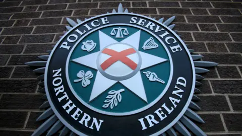 The PSNI emblem on a brick wall. It consists of scales, a harp, a torch, a leaf, a shamrock and a crown. 