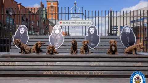 West Midlands Police Seven brown Sprocker pupped sat on a Black Sabbath Bridge in Birmingham. The bench has a cut out portrait of Geezer Butler, Ozzy Osbourne, Bill Ward and Tony Iommi. 