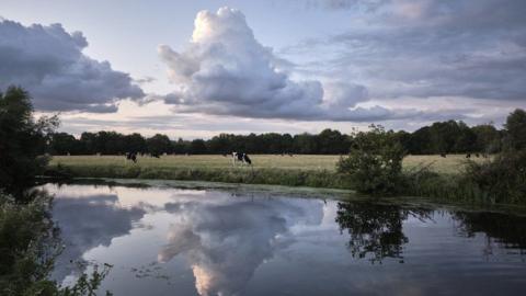 The River Stour at Dedham