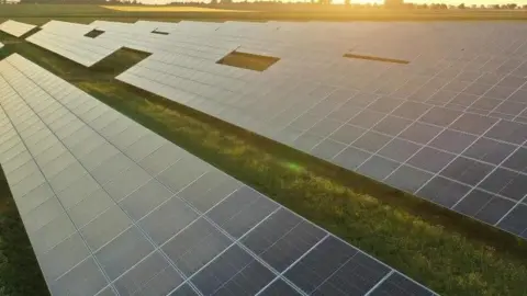 Rows of solar panels on a green field. The sun is setting on the horizon.