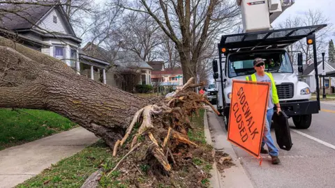 Fierce winds blew down a tree in Bloomington, Indiana
