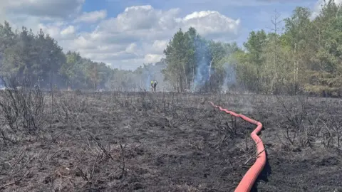 HIWFRS A fire hose snakes along open, burnt ground towards two firefighters in the distance. Smoke rises from the ground and trees around them.