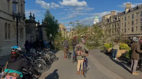 Matthew Shaw A fallen tree blocking a path in Oxford city centre, with cyclists looking at it