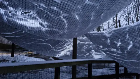 Leeds City Council Snow covering nets at Lotherton's Wildlife World.