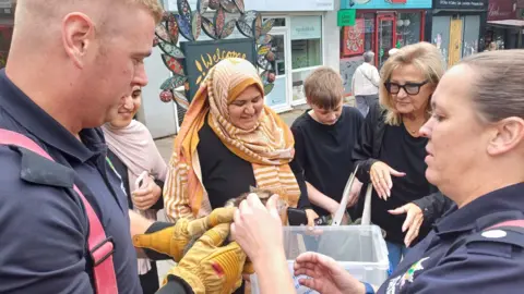 Supplied Members of the public crowd around the kitten as he is lowered into a plastic tub, which later proved to be ineffective at containing him.