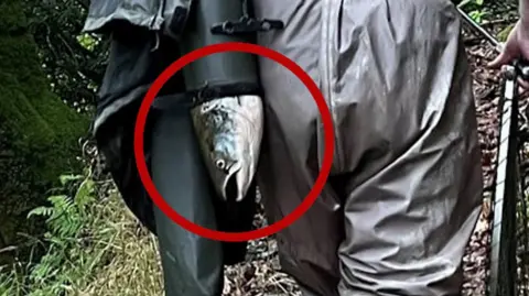 A head of a salmon sticking out of the sleeve of a coat slung around a man's shoulder