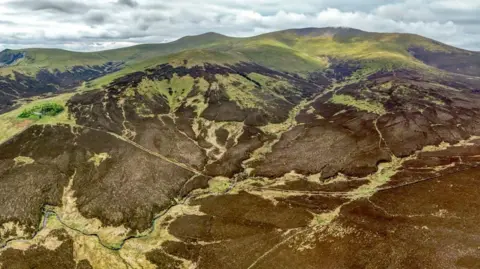 Colin Aldred Skiddaw Forest with the mountain Skiddaw in the background. There are huge patches of brown which indicate bracken or other vegetation. The summit is green. 