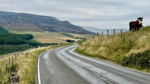 A countryside valley with a road running through it. On one side is a fenced field with cows. On the other side is a moor, half of which has been badly burned.