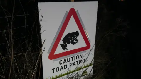 A sign which reads "caution toad patrol" it includes a red warning triangle with an icon of a toad within it